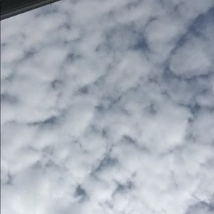 Meet your Posher, Teagan